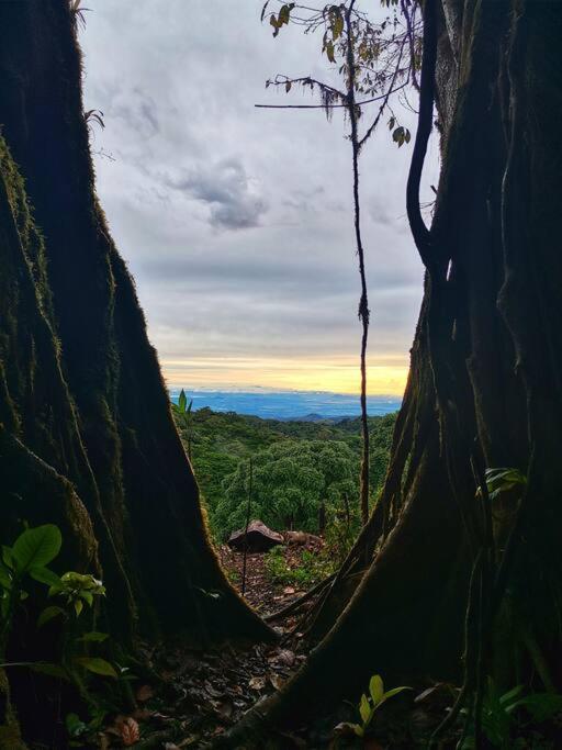 Villa Casa Del Arbol Monteverde Esterno foto