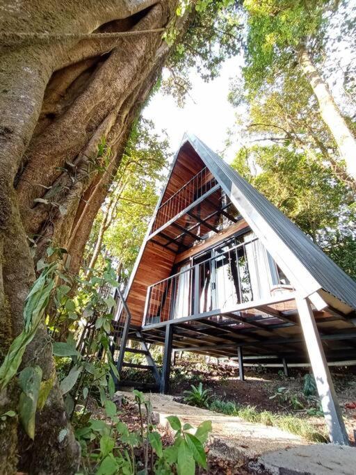 Villa Casa Del Arbol Monteverde Esterno foto