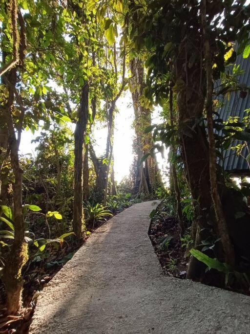 Villa Casa Del Arbol Monteverde Esterno foto